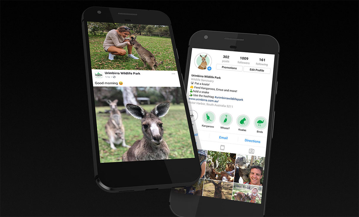 social media strategy urumbirra wildlife park marketing advertising