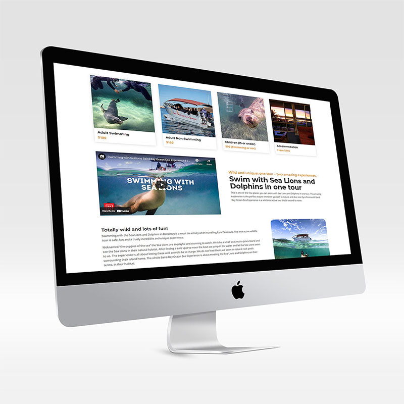 swimming with sea lions dolphins website design