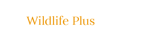 wildlife-plus-podast-small-logo